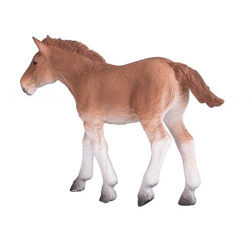 Mojo 387196 suffolk punch - 387196, foal