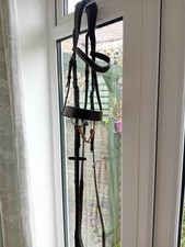 Henry James Brown Bridle