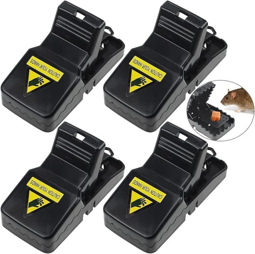 Pack rat mouse traps - or,