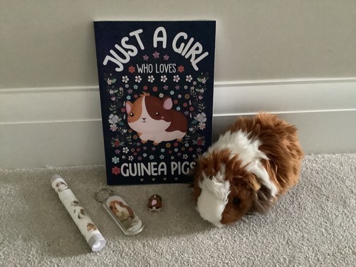 Guinea pig cuddly toy ark - toy,