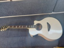 Yamaha APX 1000