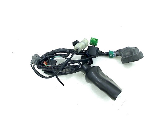 Wiring harness front cbr 1100 - front,