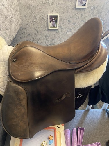 Jefferies falcon saddle - falcon,
