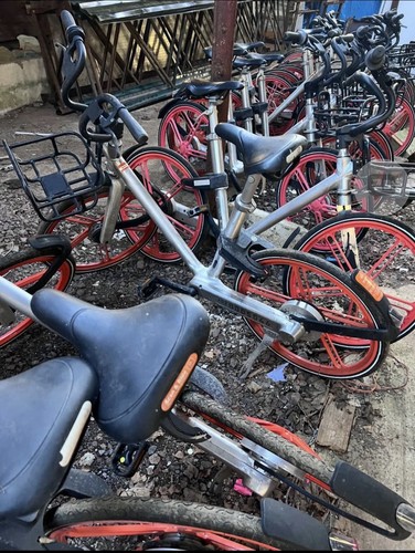 Job lot mojo bikes - of, 23