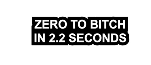 Zero bitch sticker decal - zero, to