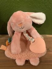 Itzy Ritzy Lovey Pink Bunny Plush with Silicone Teether