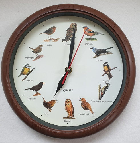 Singing bird sounds - bird,