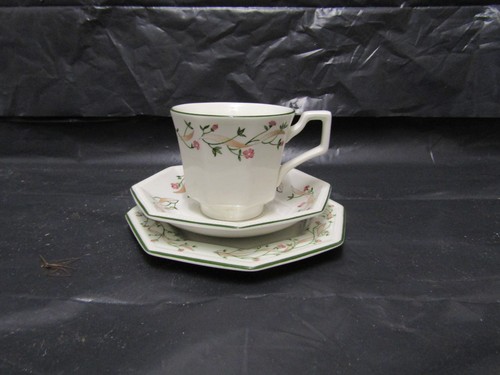 Eternal beau cup saucer and