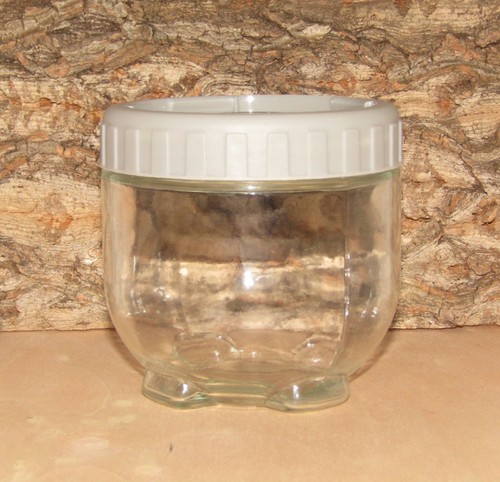 Tarantula sling enclosure