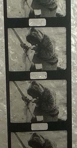 5mm baby film the - 9.5mm,