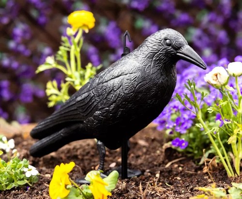 Garden decoy crow repeller - decoy,