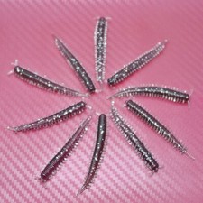 Ragworm Bristle Lug Worm Grub