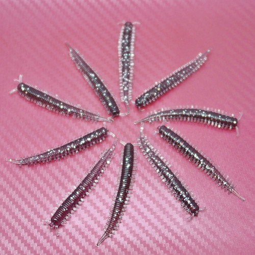 Ragworm bristle lug worm - bristle,