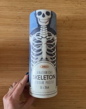 Rex London Anatomical Skeleton