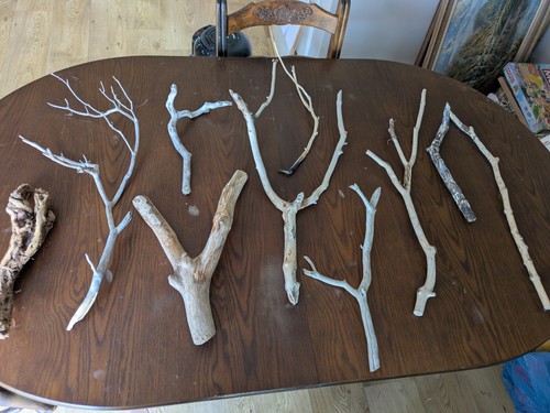 Collection driftwood - of,