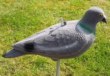 12 x  Hunting Shooting Flocked Full Body Fake Bird Pigeon Decoy Shell