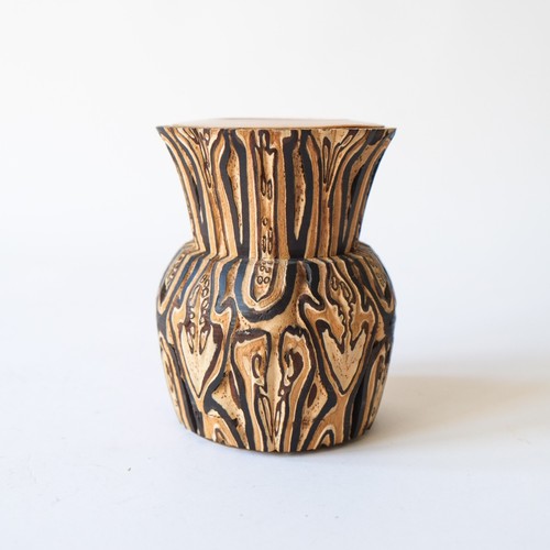 New zealand tree - fern, pot