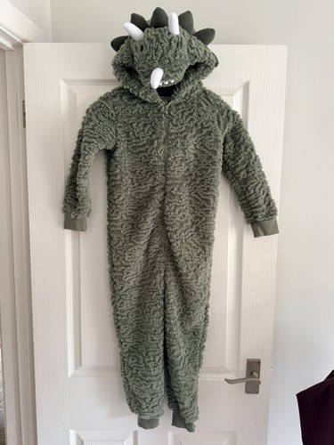 Boys green dinosaur hooded - green,