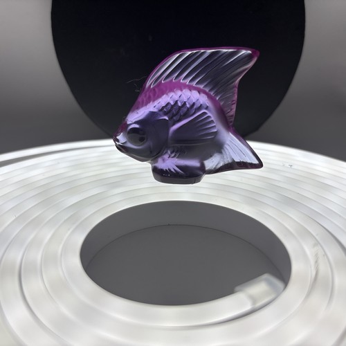 Lalique angel fish fuchsia - lalique,