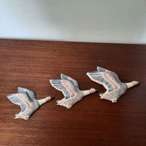 Set graduated flying - set, 3