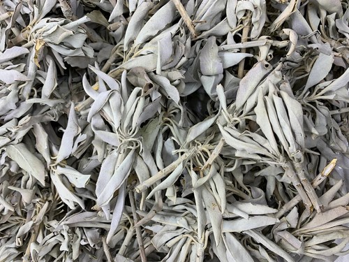 California white sage - white,