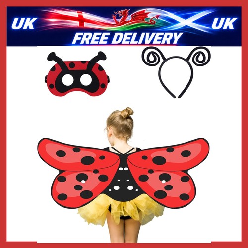 Ladybird costume for kids - costume,