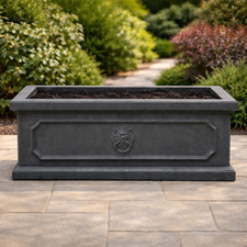 50cm Lionhead Trough -Planter