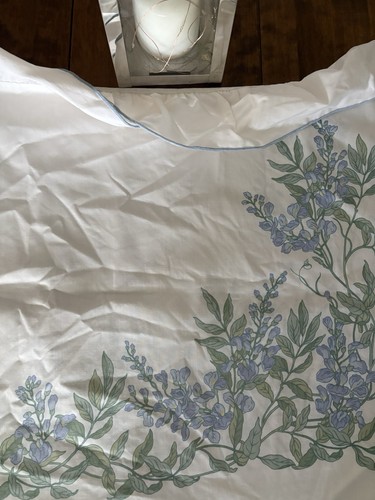 Sanderson wisteria double - sanderson,