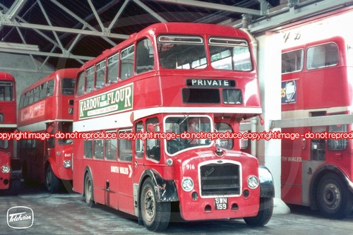 Bus photo south wales nbc - -,