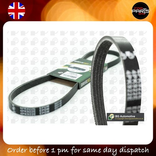 Belt for fiat punto - belt,
