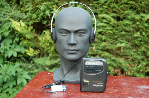 Refurbished sony fx303 - refurbished,