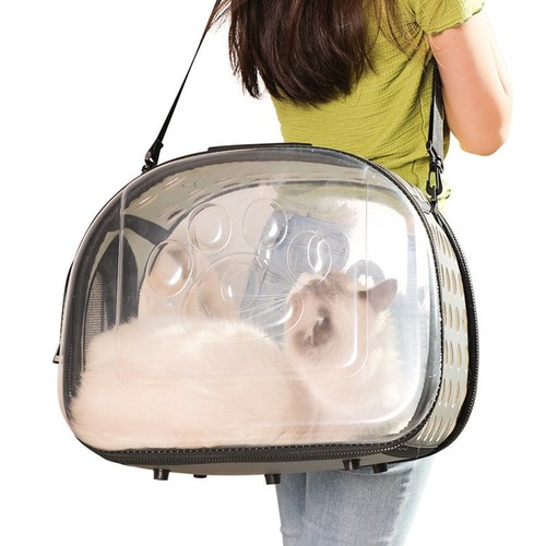 Clear window dog cat - cat, carrier