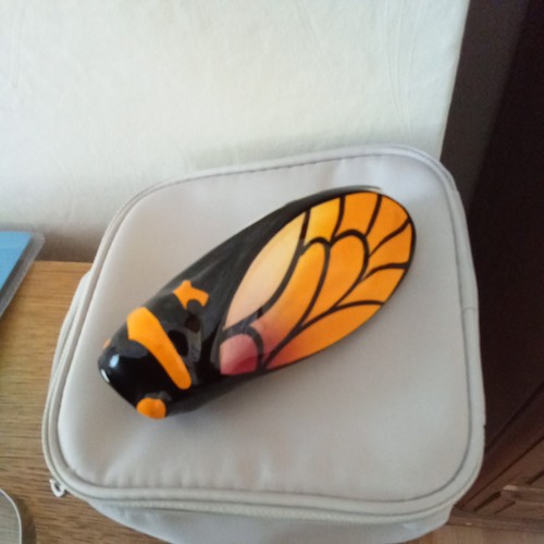 Vintage french majolica - french, cicada