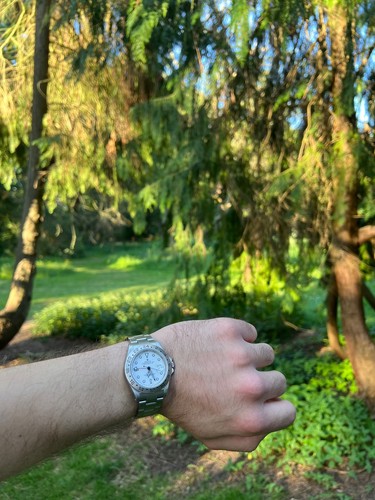 Rolex explorer white polar - rolex,
