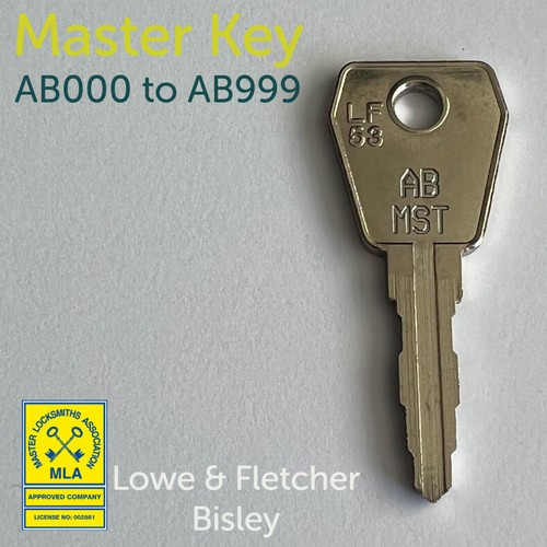 Lowe and fletcher series - lowe,