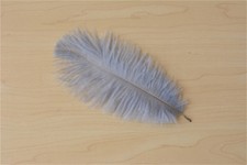 Quality Ostrich Feather Plume Wedding Party Decor Costume Craft 17 Colours 10pcs