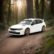 Subaru Impreza WRC'08 Prodrive Factory Setting White 2008 - 1/18 - Otto - OT1037