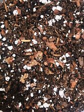 Clivia Compost. 3 Litre. Mature Plant Mix. UK National collection Holders