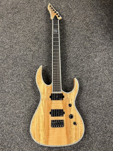 Rich shredzilla extreme - b.c.rich,