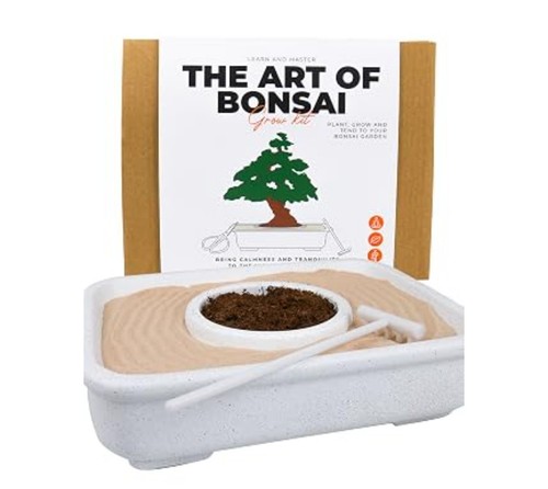 The art bonsai grow kit - the,