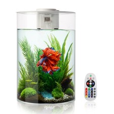 3 Gallon Fish Tank Aquarium