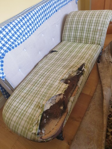 Antique chaise longue - antique,
