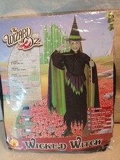Rubies Wizard Of Oz Wicked