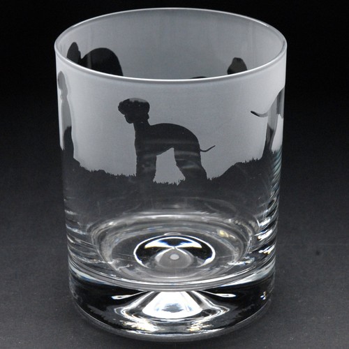 Bedlington terrier dog whiskey - bedlington,