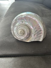 Antique Old Large Natural