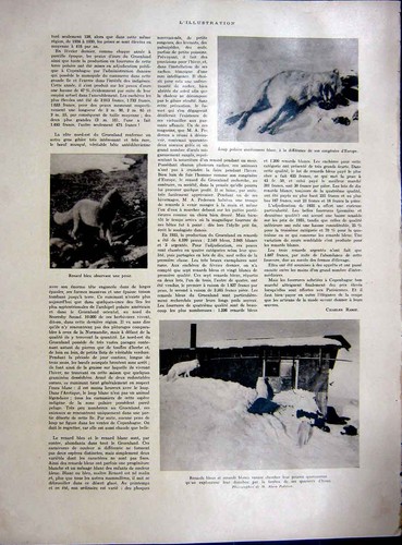 Original old vintage print - original,