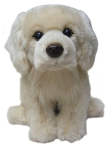 Golden retriever teddy - 12",