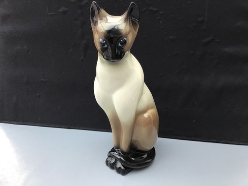 Large look like siamese - like,