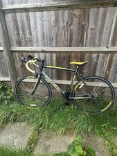 Carrera Road bike TDF LTD 6061