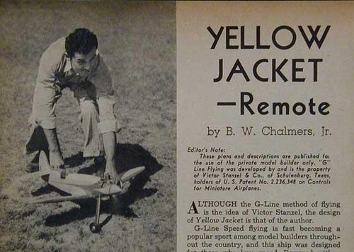 Yellow jacket wingspan - jacket,